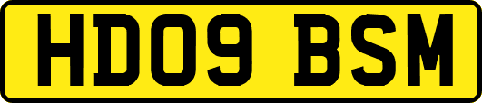 HD09BSM