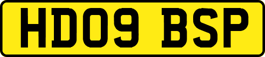 HD09BSP