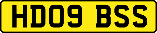 HD09BSS