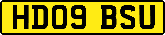 HD09BSU