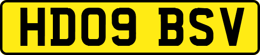 HD09BSV