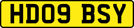 HD09BSY