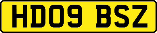 HD09BSZ