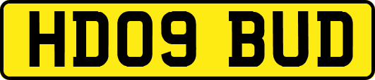 HD09BUD