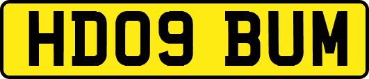 HD09BUM