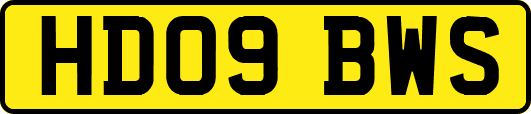 HD09BWS