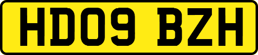 HD09BZH