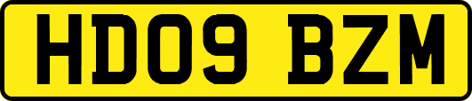 HD09BZM