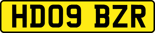 HD09BZR
