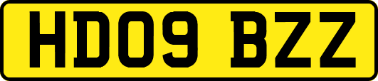 HD09BZZ