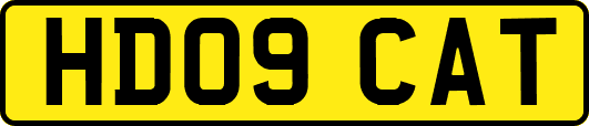 HD09CAT