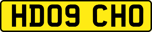 HD09CHO