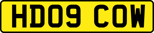 HD09COW