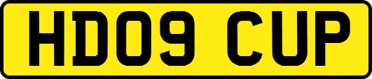HD09CUP