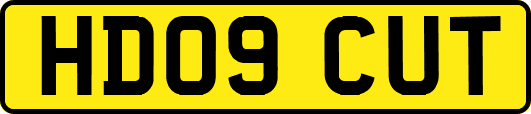 HD09CUT
