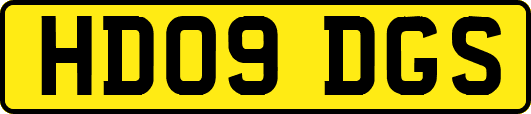 HD09DGS
