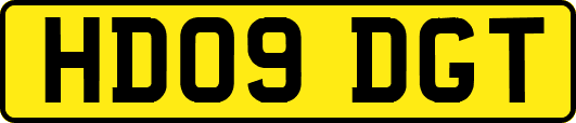 HD09DGT