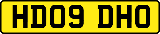 HD09DHO