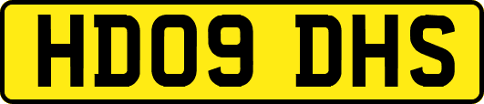HD09DHS