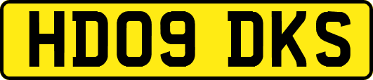HD09DKS