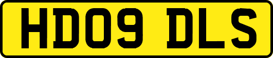 HD09DLS