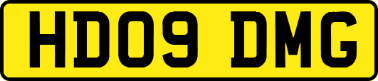 HD09DMG