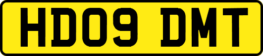 HD09DMT