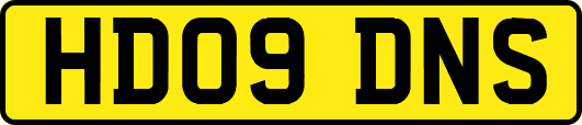 HD09DNS