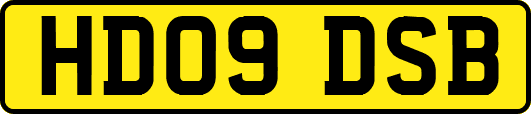HD09DSB