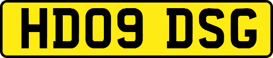 HD09DSG