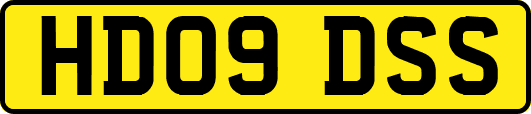 HD09DSS