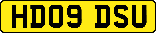 HD09DSU