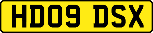 HD09DSX