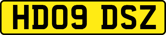 HD09DSZ
