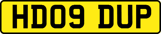 HD09DUP