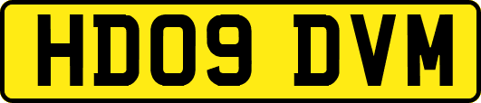 HD09DVM