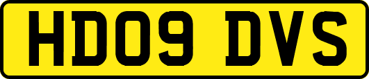 HD09DVS