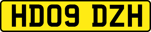 HD09DZH