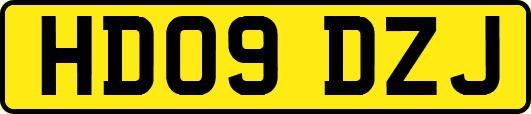 HD09DZJ