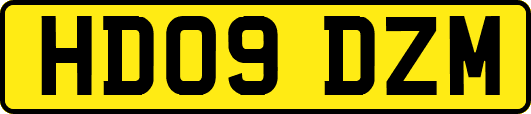 HD09DZM