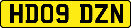 HD09DZN