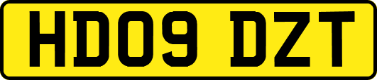 HD09DZT