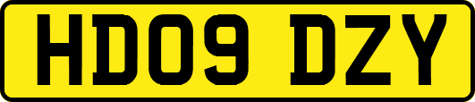 HD09DZY