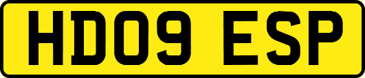 HD09ESP