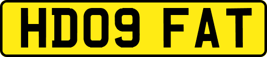 HD09FAT