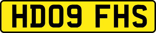 HD09FHS