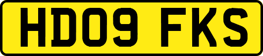 HD09FKS