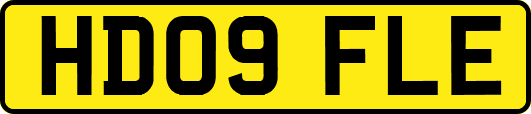 HD09FLE