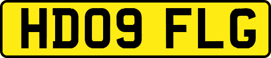 HD09FLG