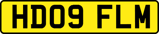 HD09FLM
